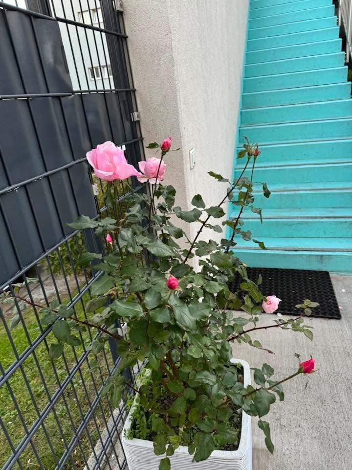 Hotel Koenig Wiedeń Zewnętrze zdjęcie